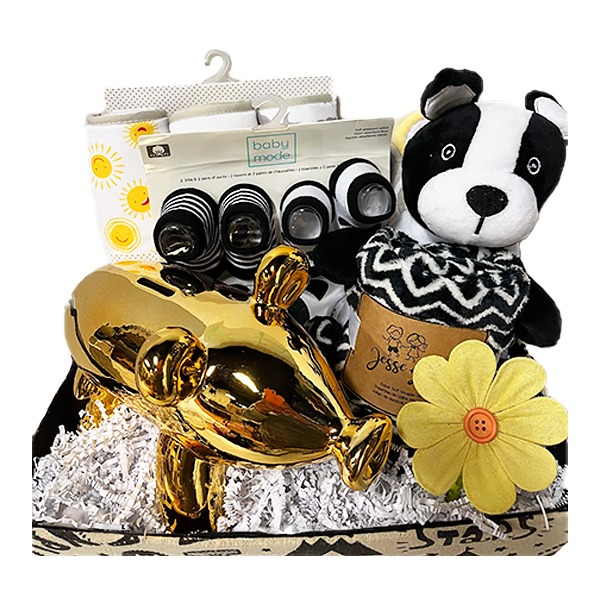 New Baby Gift Basket